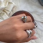 Abalone shell