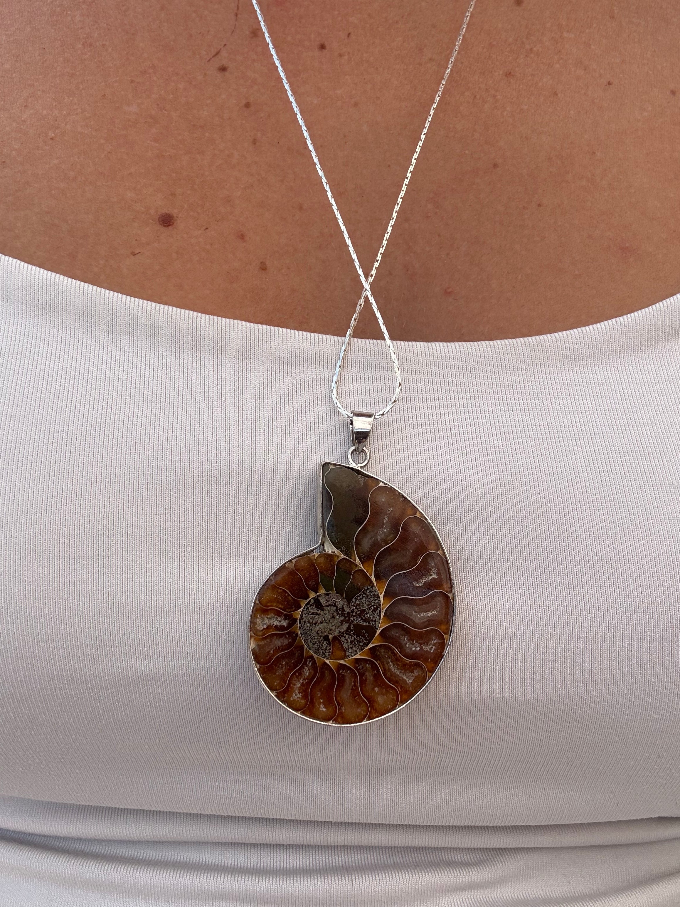 Ammonite