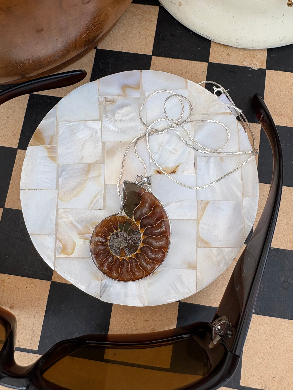 Ammonite