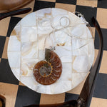 Ammonite