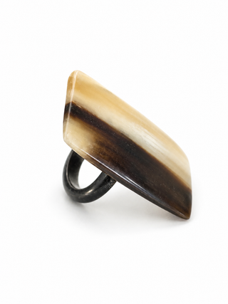 Cow horn