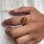 Baltic Amber