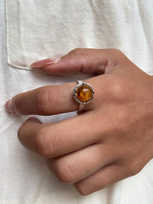 Baltic Amber