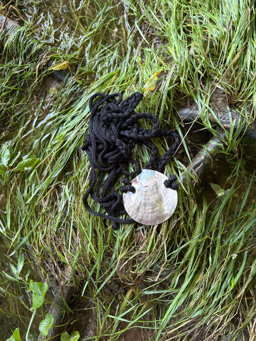 Shell belt