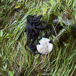 Shell belt