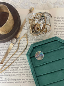 Abalone shell
