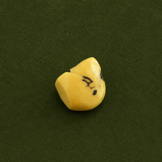Tagua ring