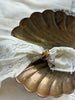 Tigers eye