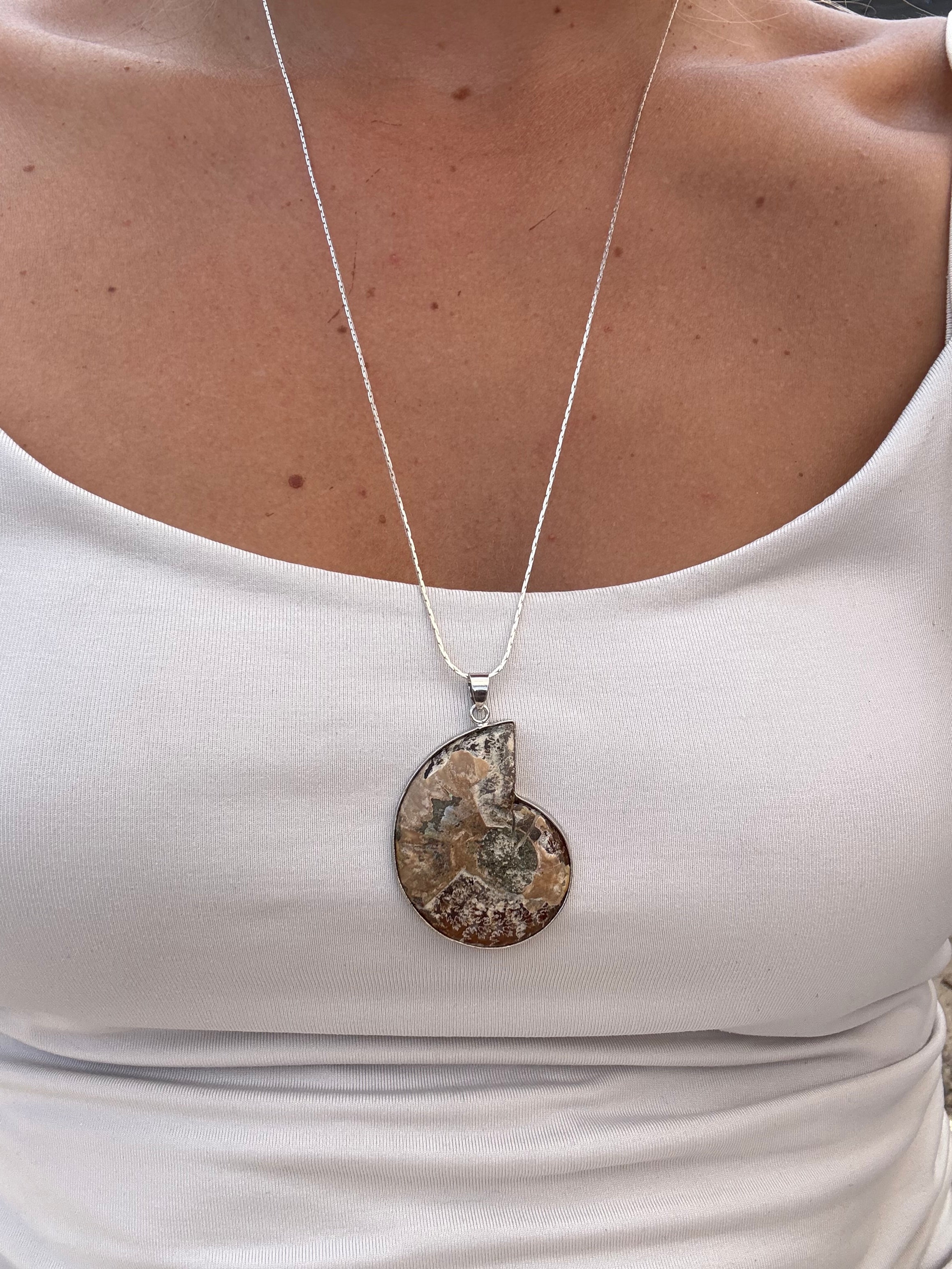 Ammonite