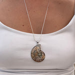 Ammonite
