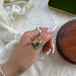 Tigers eye