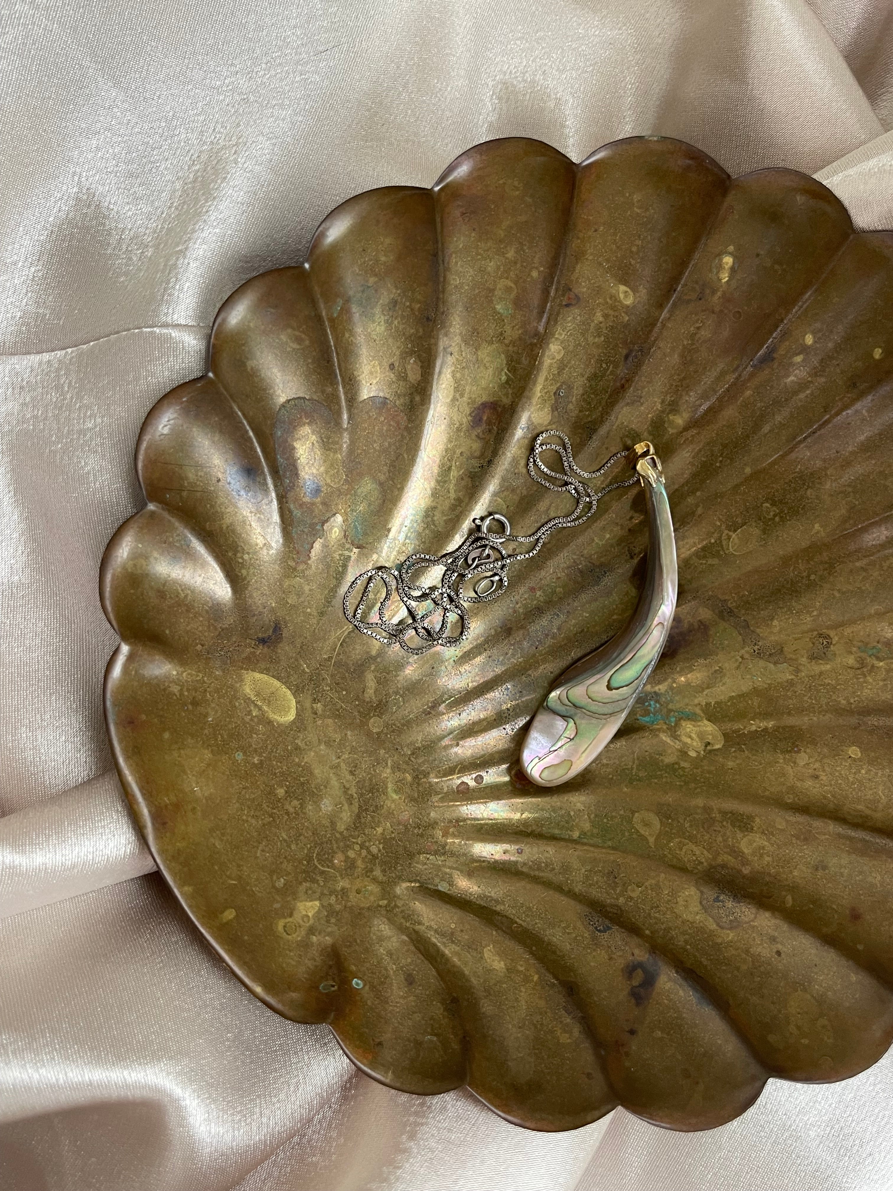 Abalone shell