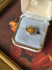Baltic amber