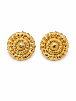 Shell Clip ons