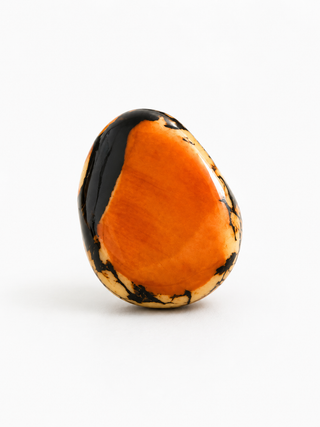 Tagua ring