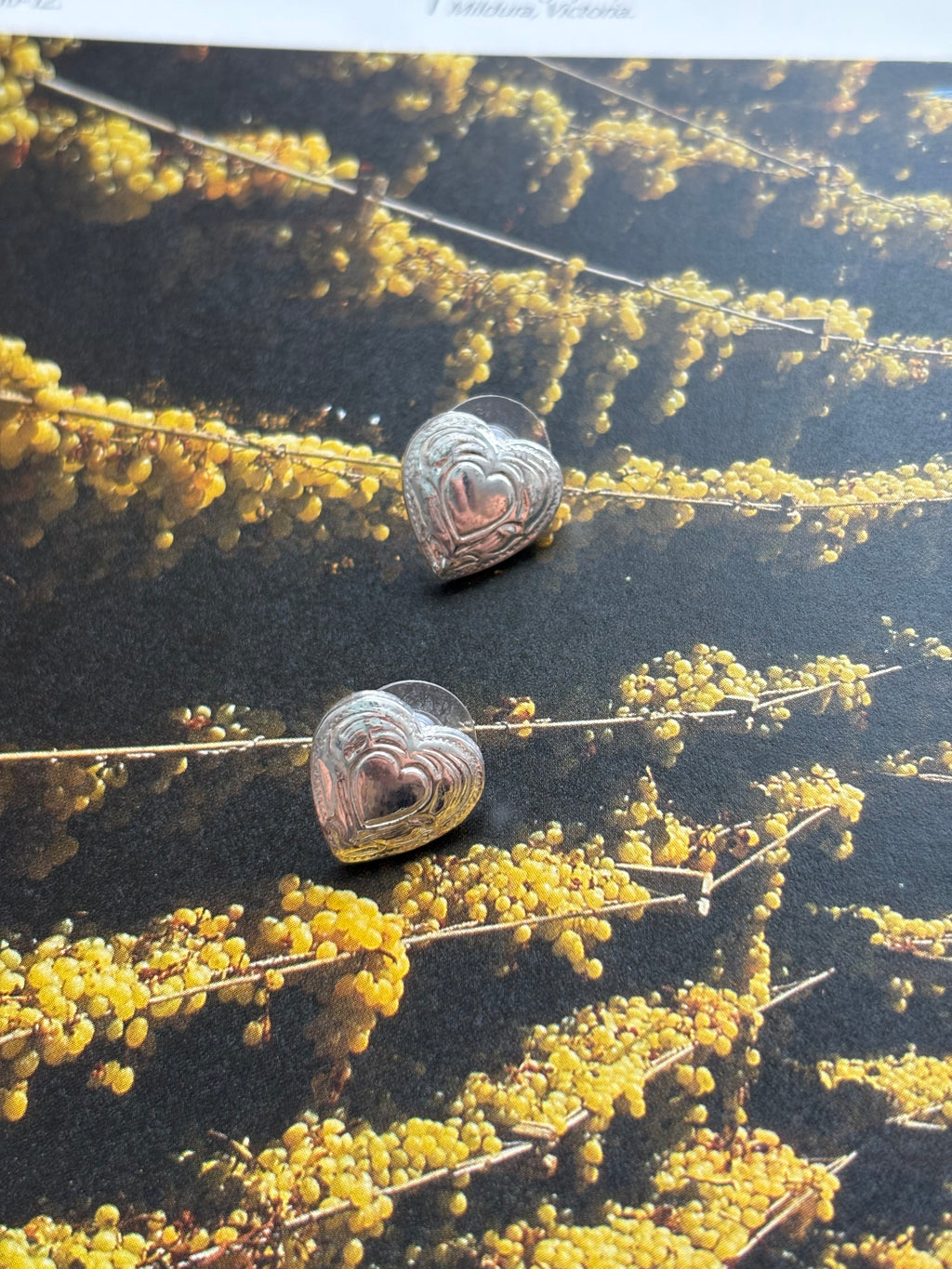 Heart earrings